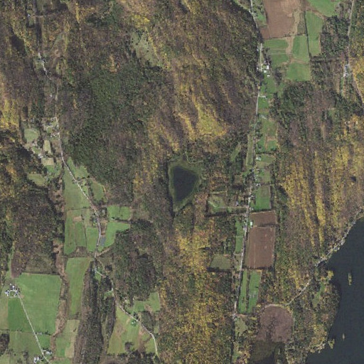 Aerial imagery of Johnson Pond, VT