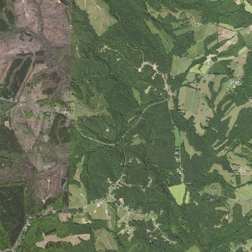 Aerial imagery of Bawley Branch, VA