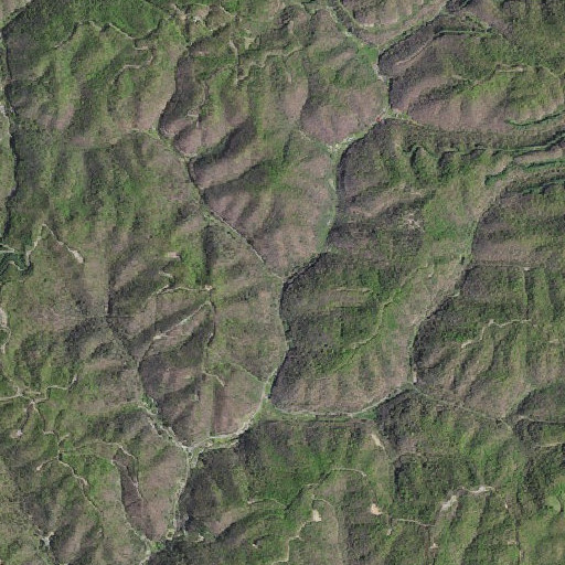Aerial imagery of Boyd Branch, VA