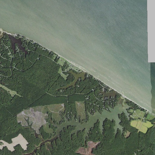 Aerial imagery of Condit Pond, VA