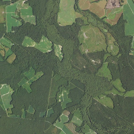 Aerial imagery of Hickaneck Swamp, VA