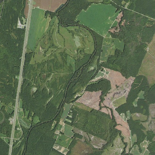 Aerial imagery of Island Swamp, VA