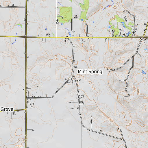 OpenTopoMap map of Mint Spring School (historical), AL