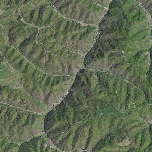 Aerial imagery of Shortridge Branch, VA