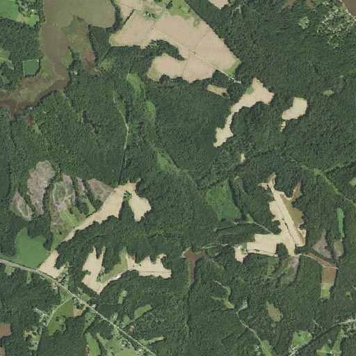Aerial imagery of Thomas Branch, VA
