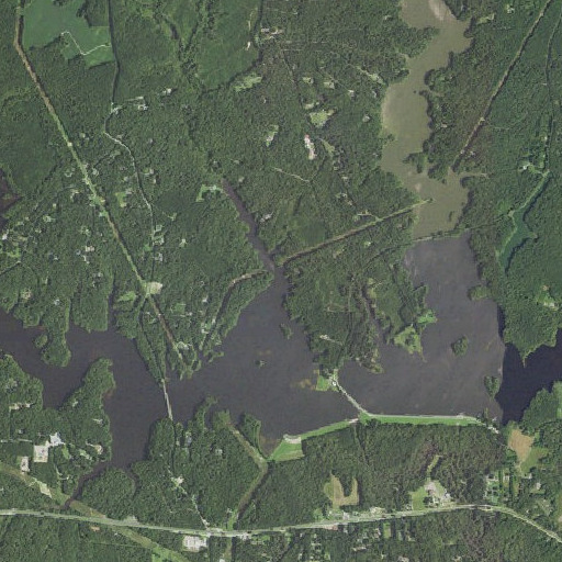 Aerial imagery of Timber Swamp, VA
