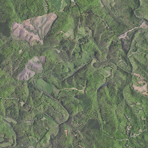 Aerial imagery of Widgeon Creek, VA