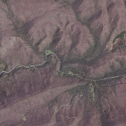 Aerial imagery of Dismal Branch, VA