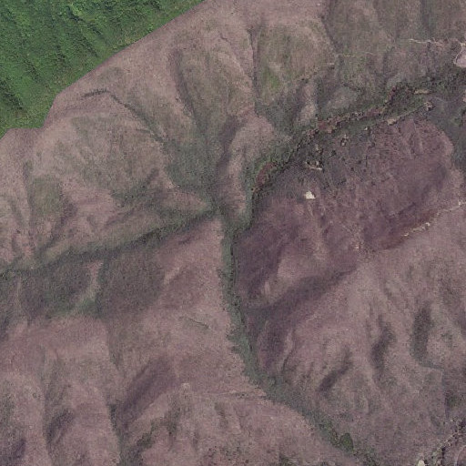 Aerial imagery of Dixon Branch, VA