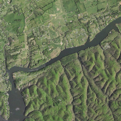 Aerial imagery of Lick Branch, VA
