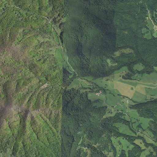 Aerial imagery of Scott Branch, VA