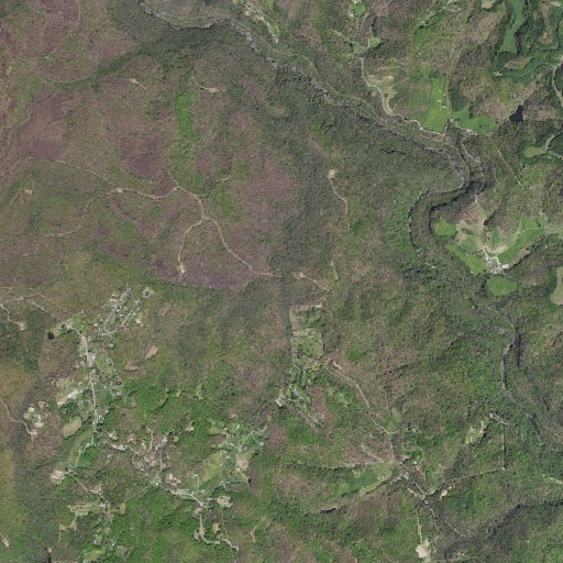 Aerial imagery of Selcer Branch, VA