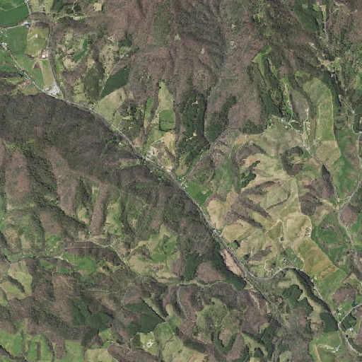 Aerial imagery of Trout Branch, VA