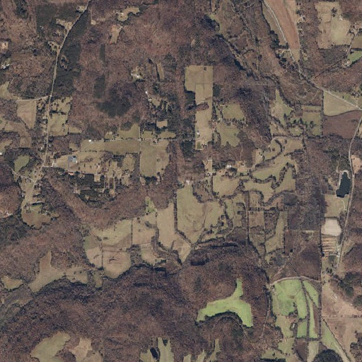 Aerial imagery of Roan Spring, AL