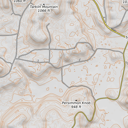 OpenTopoMap map of Roan Spring, AL