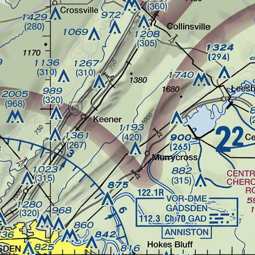 FAA VFR chart of Spring Branch, AL