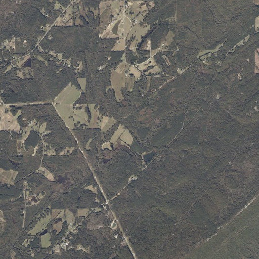 Aerial imagery of Spring Branch, AL