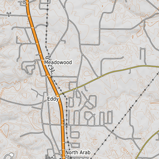 OpenTopoMap map of Eddy School (historical), AL