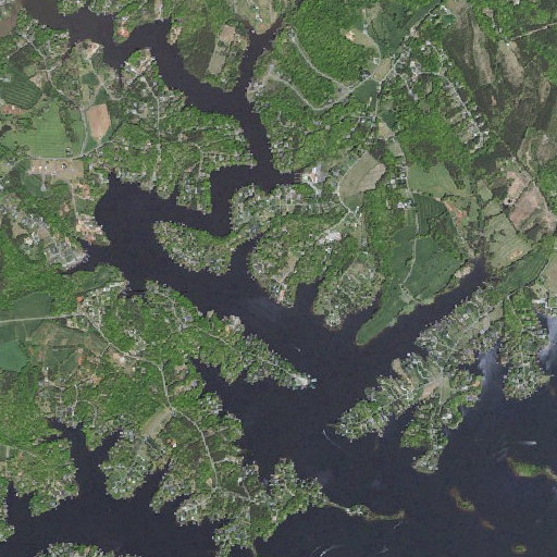 Aerial imagery of White Pine, VA