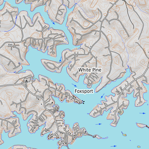 OpenTopoMap map of White Pine, VA
