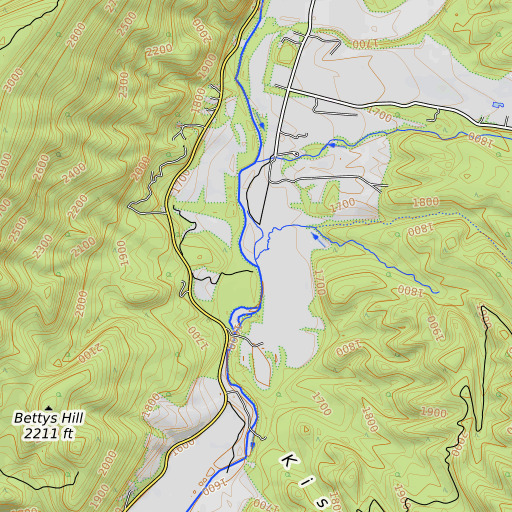 OpenTopoMap map of Phillips Lick, VA