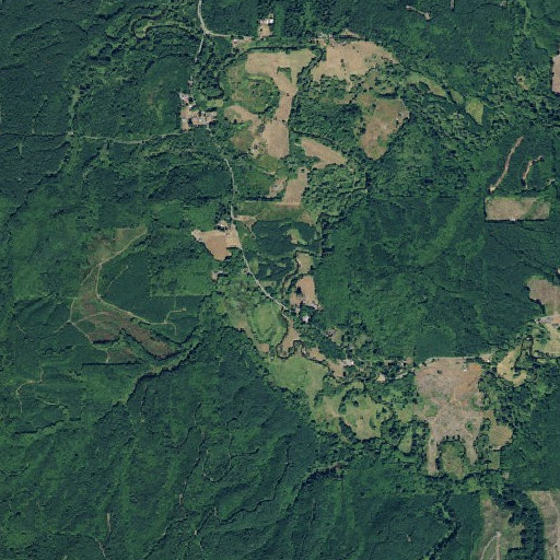 Aerial imagery of Alder Creek, WA