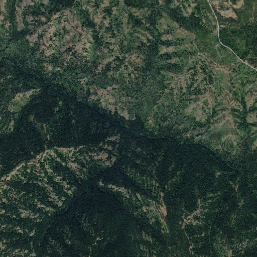 Aerial imagery of Bear Creek, WA