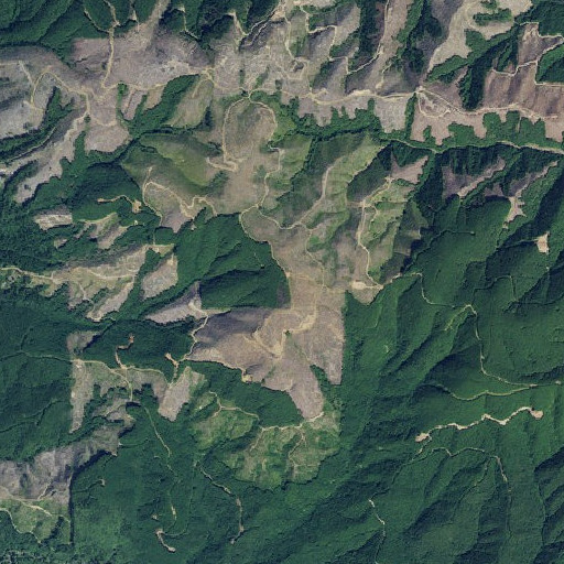 Aerial imagery of Bear River Ridge, WA