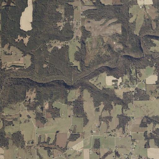 Aerial imagery of Lewis Branch, AL