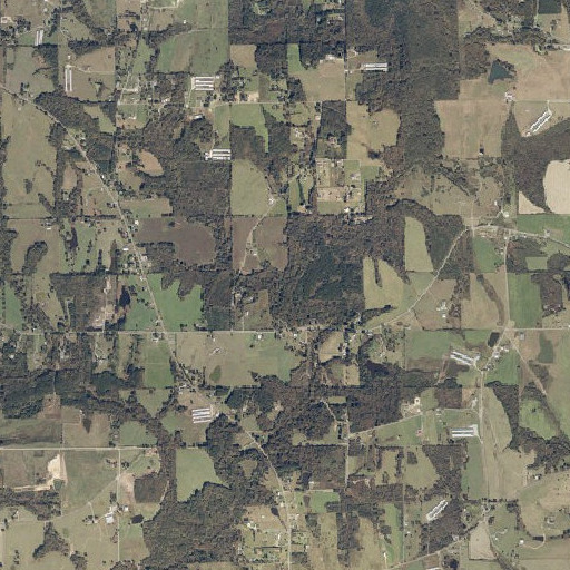 Aerial imagery of Mahan Branch, AL