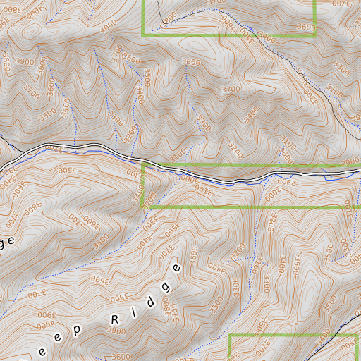 OpenTopoMap map of Cabin Gulch, WA