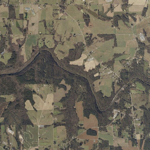 Aerial imagery of Pine Branch, AL