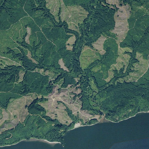 Aerial imagery of Fink Creek, WA