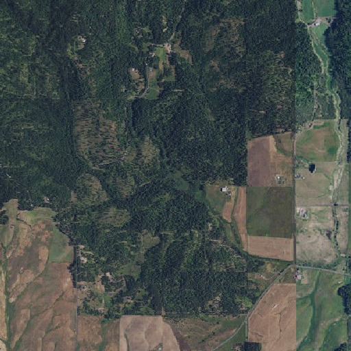 Aerial imagery of Olson Creek, WA