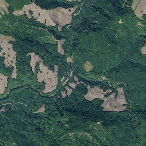 Aerial imagery of South Fork Grays River, WA