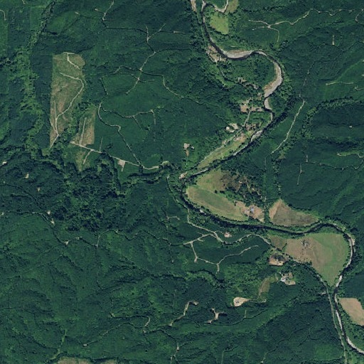 Aerial imagery of Still Creek, WA