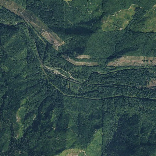 Aerial imagery of Champion Creek, WA