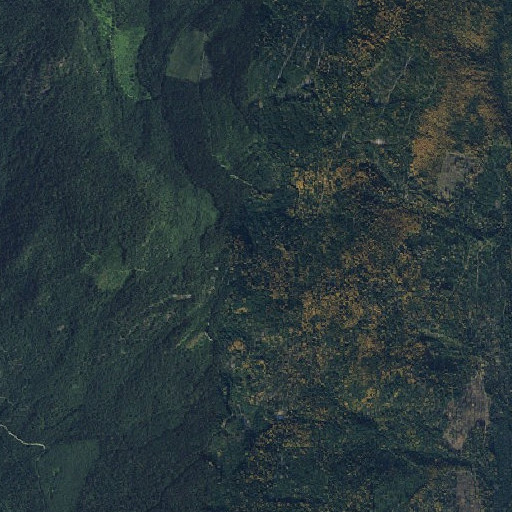 Aerial imagery of Eldorado Creek, WA