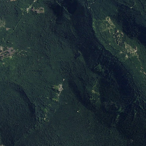 Aerial imagery of Huntington Berry Patch, WA