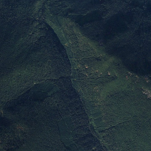Aerial imagery of Indigo Creek, WA