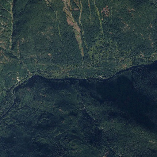 Aerial imagery of Irene Creek, WA