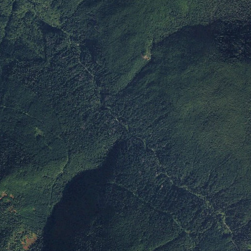 Aerial imagery of Iron Creek, WA