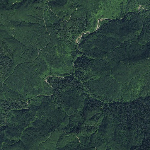 Aerial imagery of Itswoot Creek, WA
