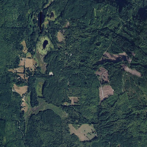 Aerial imagery of Johnsons Creek, WA
