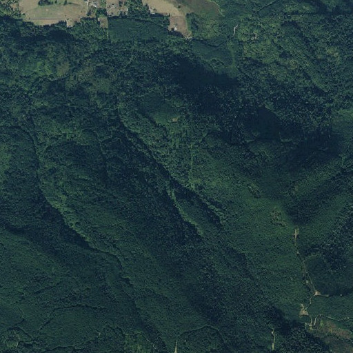 Aerial imagery of Left Fork Owens Creek, WA