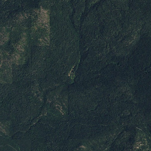 Aerial imagery of Lenhart Meadows, WA