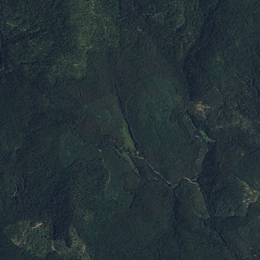 Aerial imagery of Lost Meadow, WA