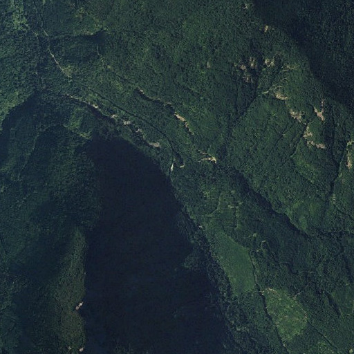 Aerial imagery of Middle Fork Johnson Creek, WA