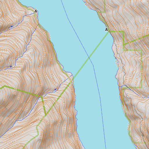 OpenTopoMap map of Riddle Creek, WA