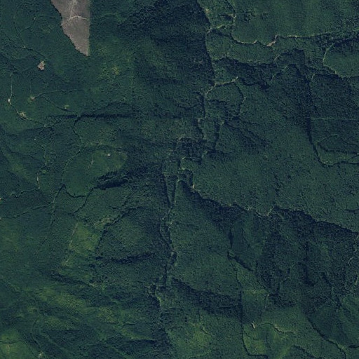 Aerial imagery of Wildcat Creek, WA
